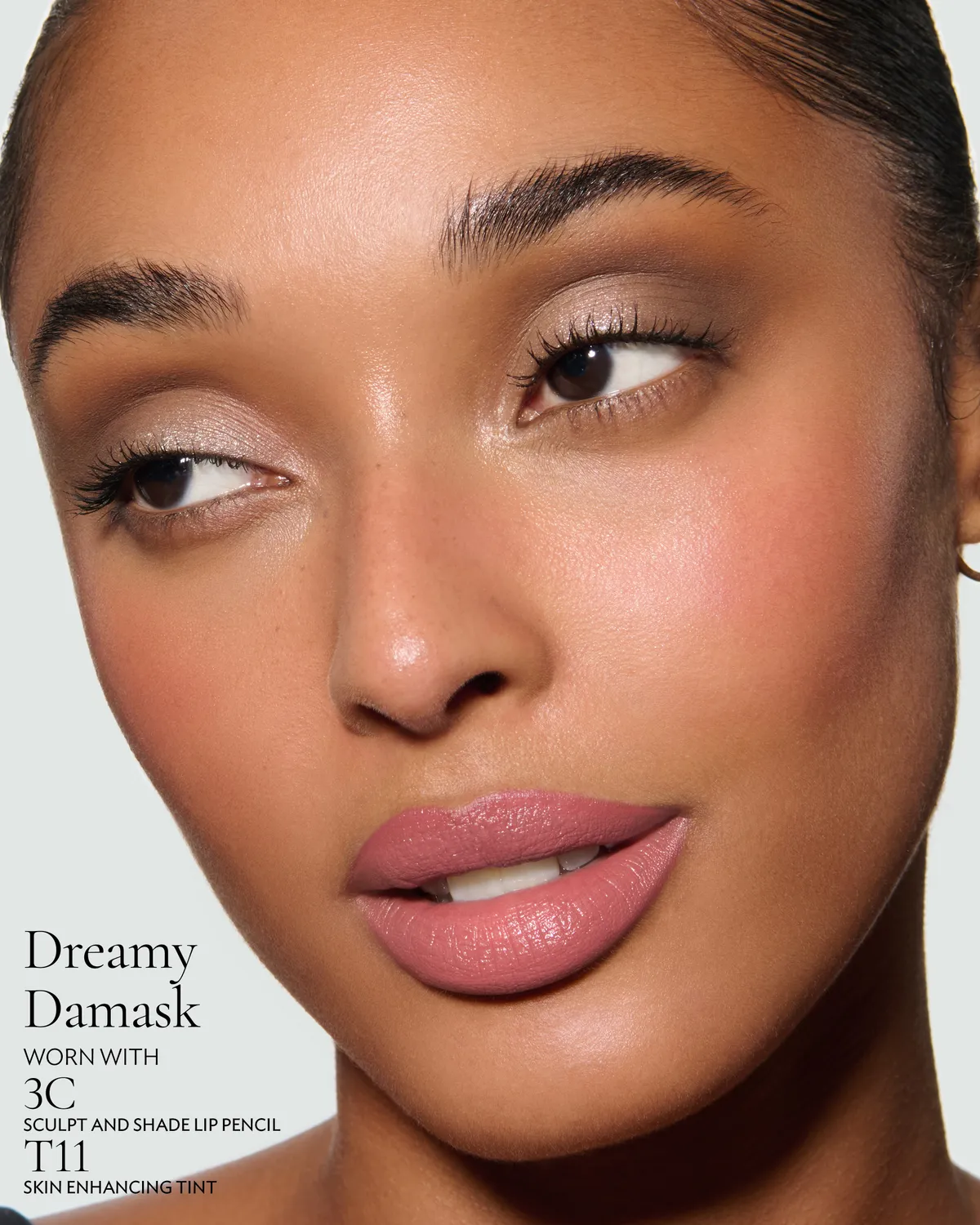 Lisa Eldridge Rouge Experience 191 rossetto Dreamy Damask