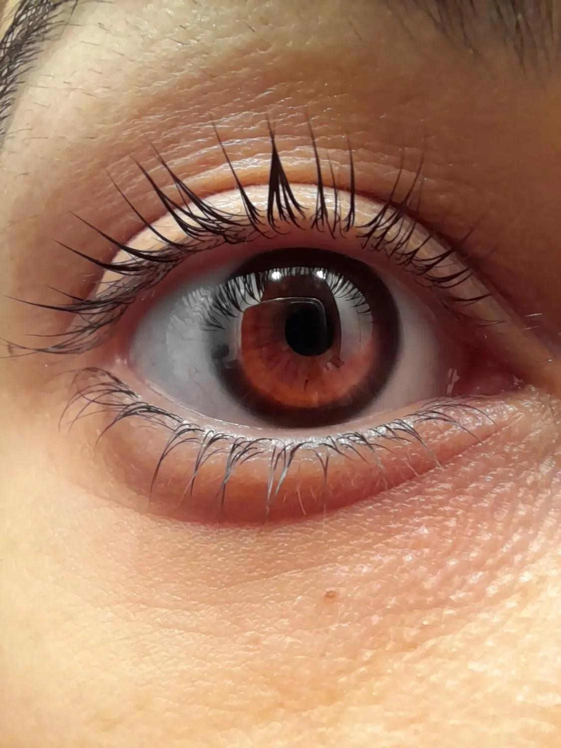 KIKO Pro Gel Mascara siero ciglia allungante e volumizzante