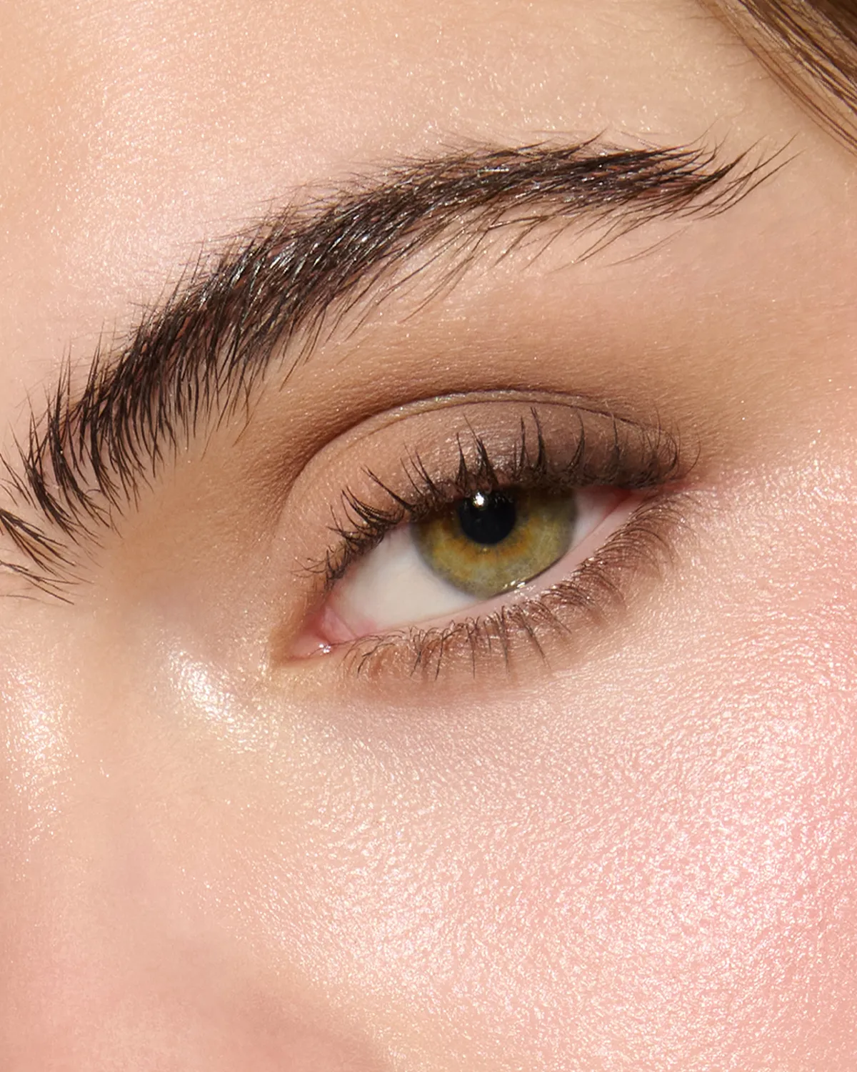 Lisa Eldridge Fawn palette ombretti 6 colori neutri