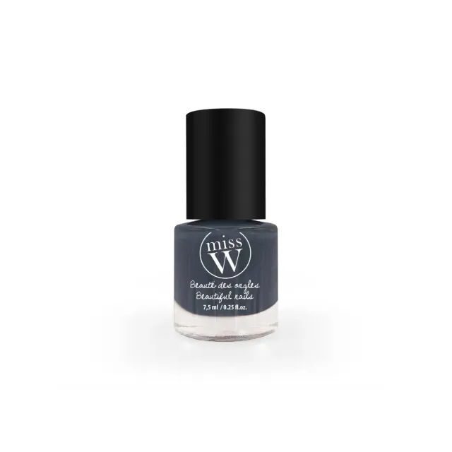 Miss W Pro Smalto n°11 Grigio Mat Opaco