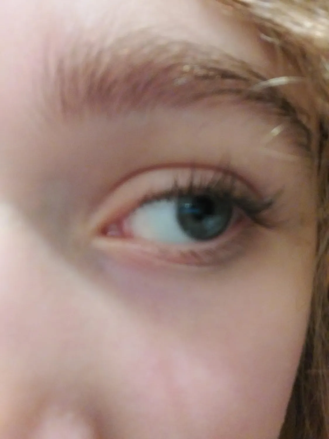 KIKO Eyelash Curler piegaciglia in acciaio