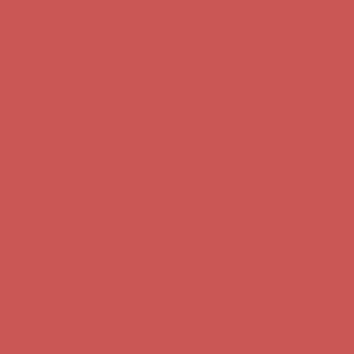 Naj Oleari Bloom Up blush stick 01 Soft Nude luminoso