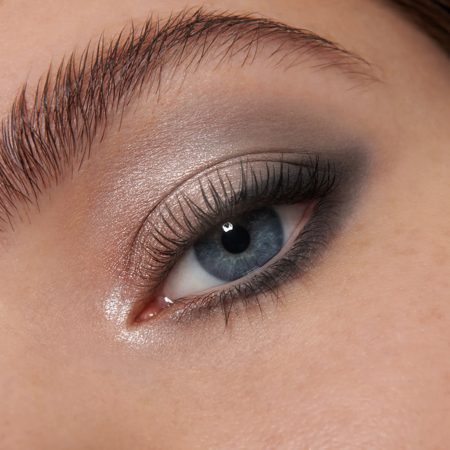 Lisa Eldridge Vega palette ombretti grigi freddi