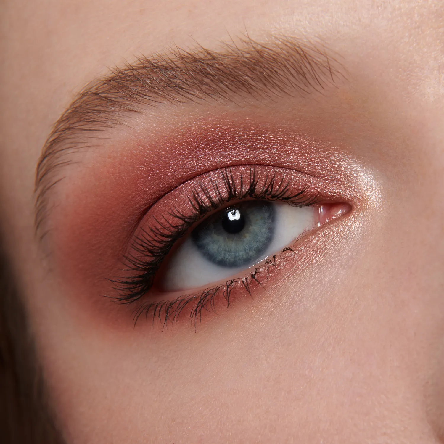 Lisa Eldridge Muse Palette Ombretti 6 Colori Rosa