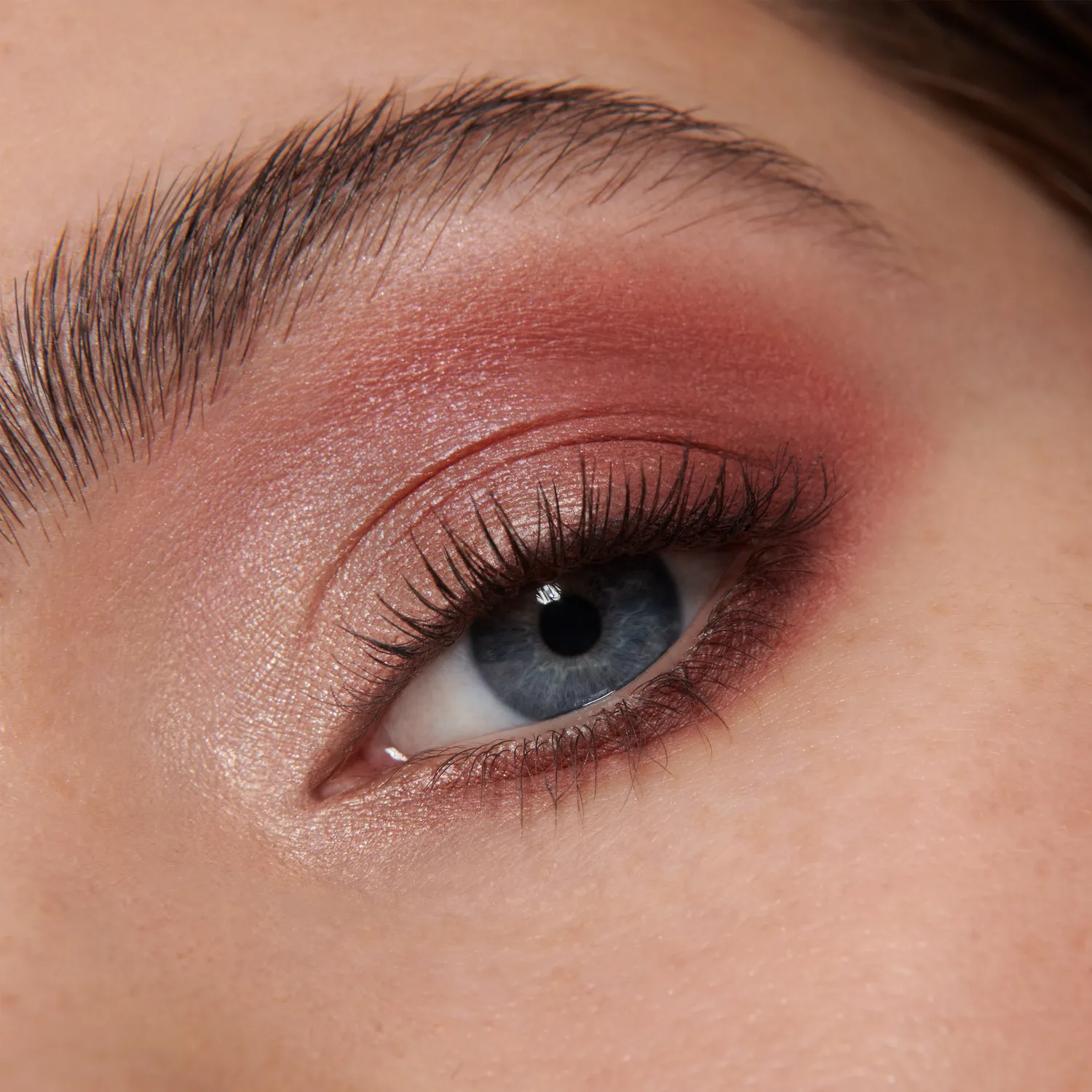 Lisa Eldridge Muse Palette Ombretti 6 Colori Rosa